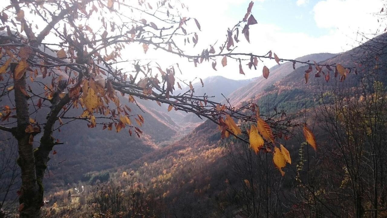 Le De Larcat