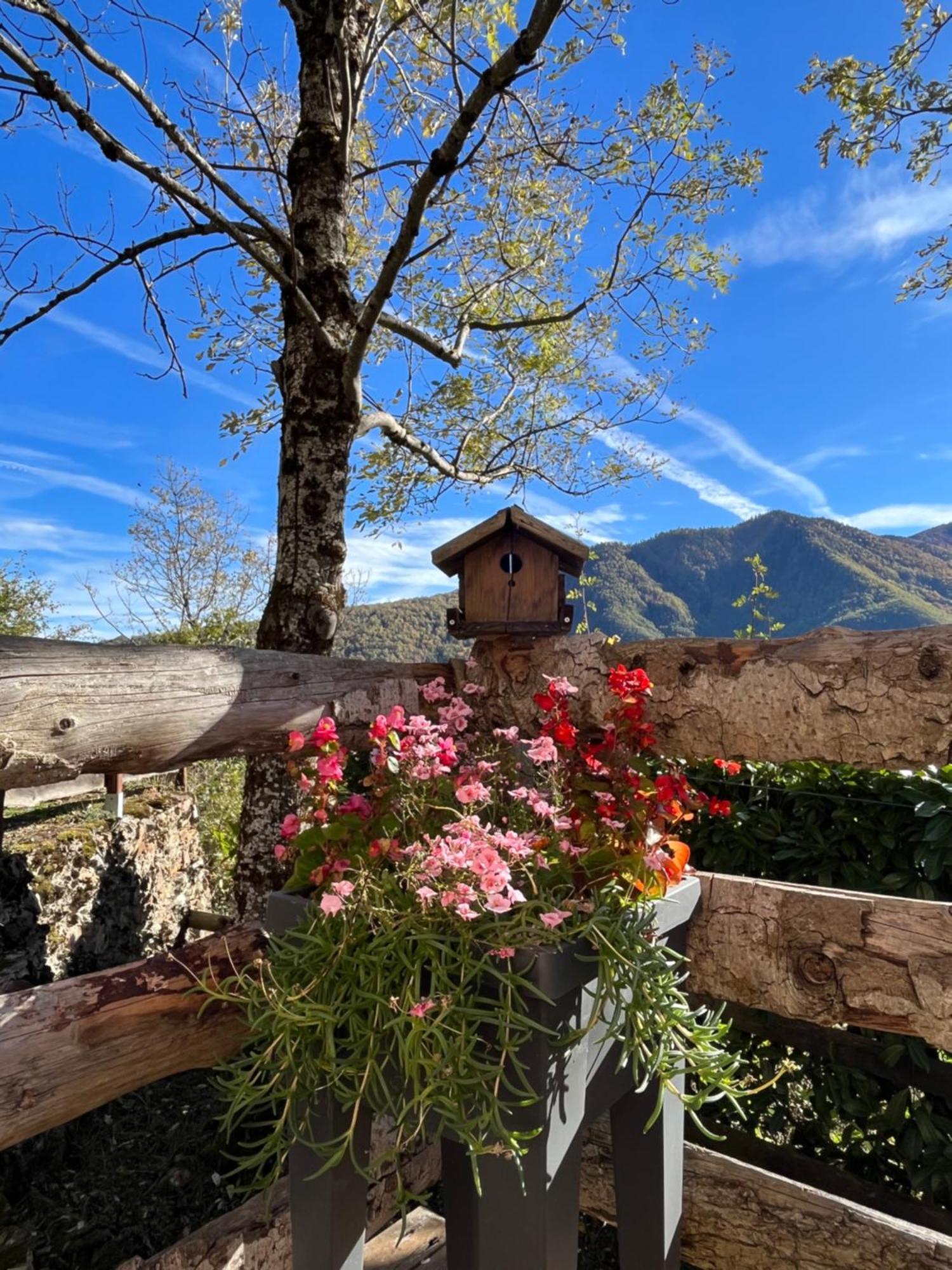 Le De Chalet Larcat